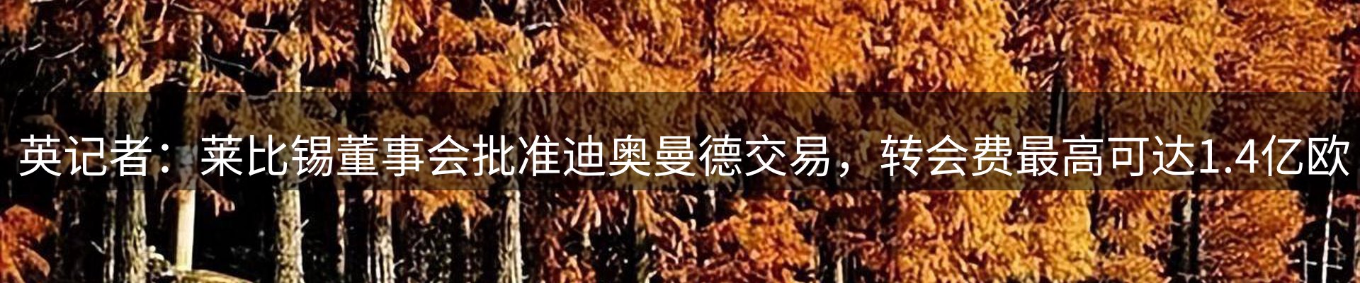 内页banner